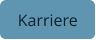 Karriere