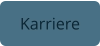 Karriere